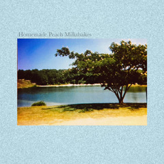 Homemade Peach Milkshakes