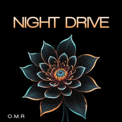 "Night Drive" Meek Mill type beat