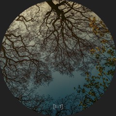 BDT 029 PREMIERE - Joey M - Stat Two [Secuencias Temporales]