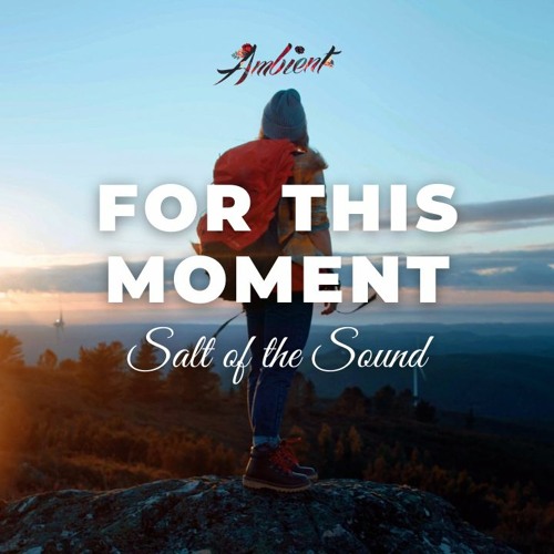 Salt of the Sound - For This Moment