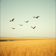 Counting Hawks