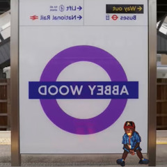 Abb£y Wood ( Prod.Raiin )