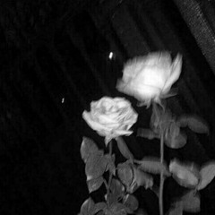 sorrow