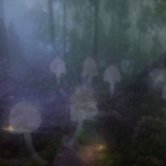 meadows Xp