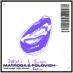 Matroda & POLOVICH - The Funk You Want (DØSHI & Juush Extended Remix)