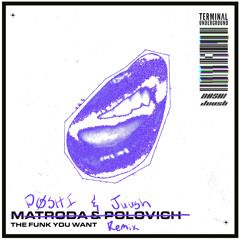 Matroda & POLOVICH - The Funk You Want (DØSHI & Juush Extended Remix)