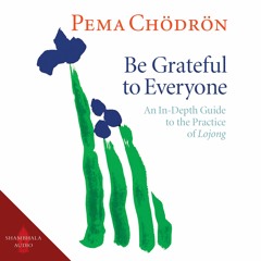 Be Grateful to Everyone by Pema Chodron - Sample