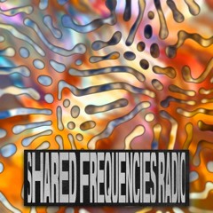 gutpunch | sharedfrequenciesradio '25
