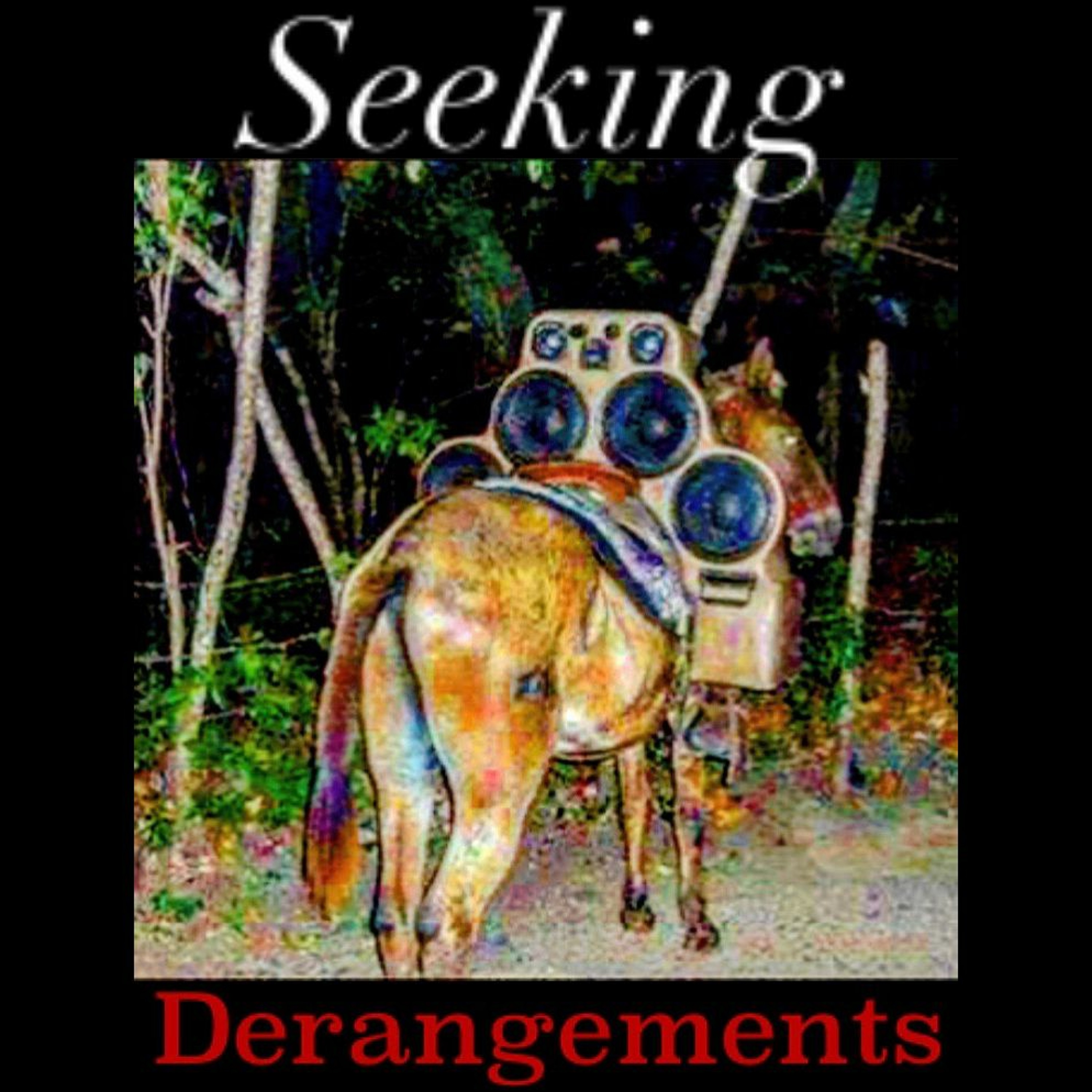 Seeking Derangements