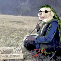 ATE THE LAUNDRY(flip-chain LDZ)