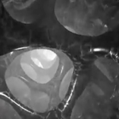 09naphthalene