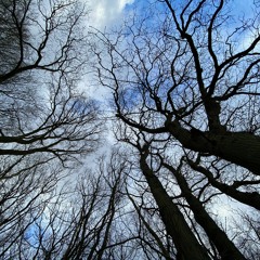 Mixlr.Ambient.09&24.01.2021