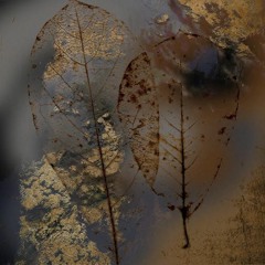 f030 - weary - hollowed out of stone....