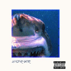 UNDRWTR