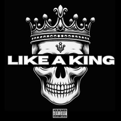 Like A King (prod. By @shanemandem)