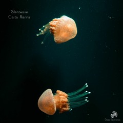 Sea Anemone Dance