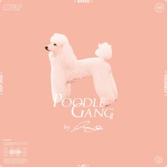 Poodle Gang #09