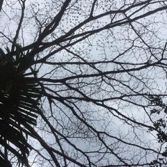 Armada - Mau Dibawa Kemana (cover)