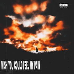 Wish You Could Feel My Pain