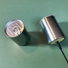 Schalldose