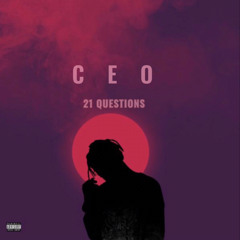 CEO - 21 QUESTIONS (PREMIX)