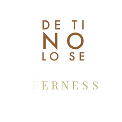 De Ti, No Lo Se- Original Song By Erness 2022
