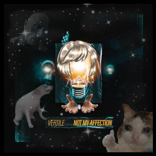 Vertile - Not My Affection (Extended Lange Break Kick Edit)