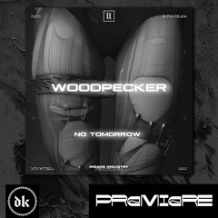 𝐏𝐑𝐄𝐌𝐈𝐄𝐑𝐄 | WOODPECKER - Pandora [II206D]