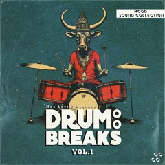 Drumoo Breaks Vol. 1 - Demo