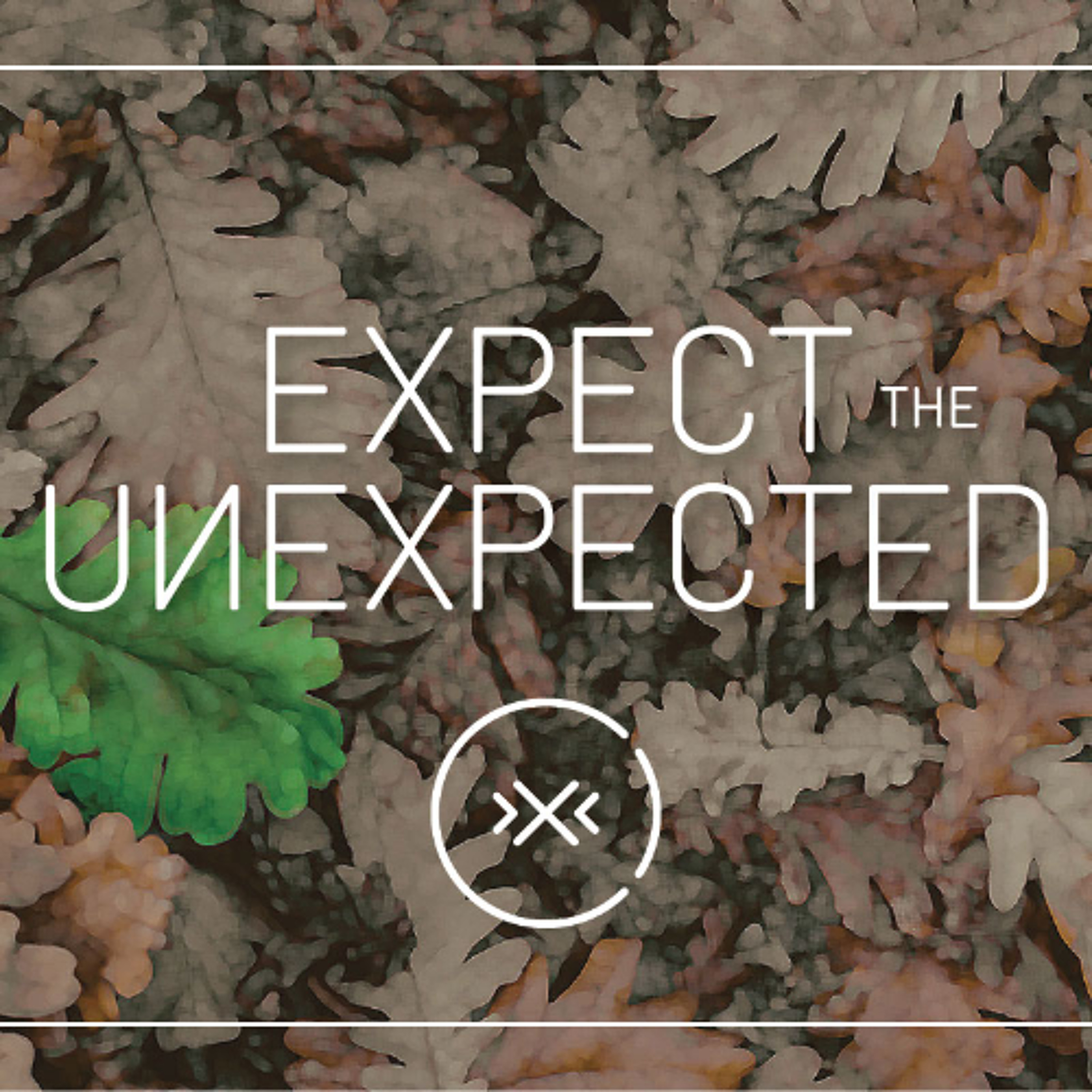 Expect the Unexpected || Pray || Week 9 episode artwork