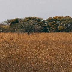 oldschool promo mix januar 2013