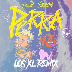 J Balvin & Tokischa - Perra (Los XL Remix)
