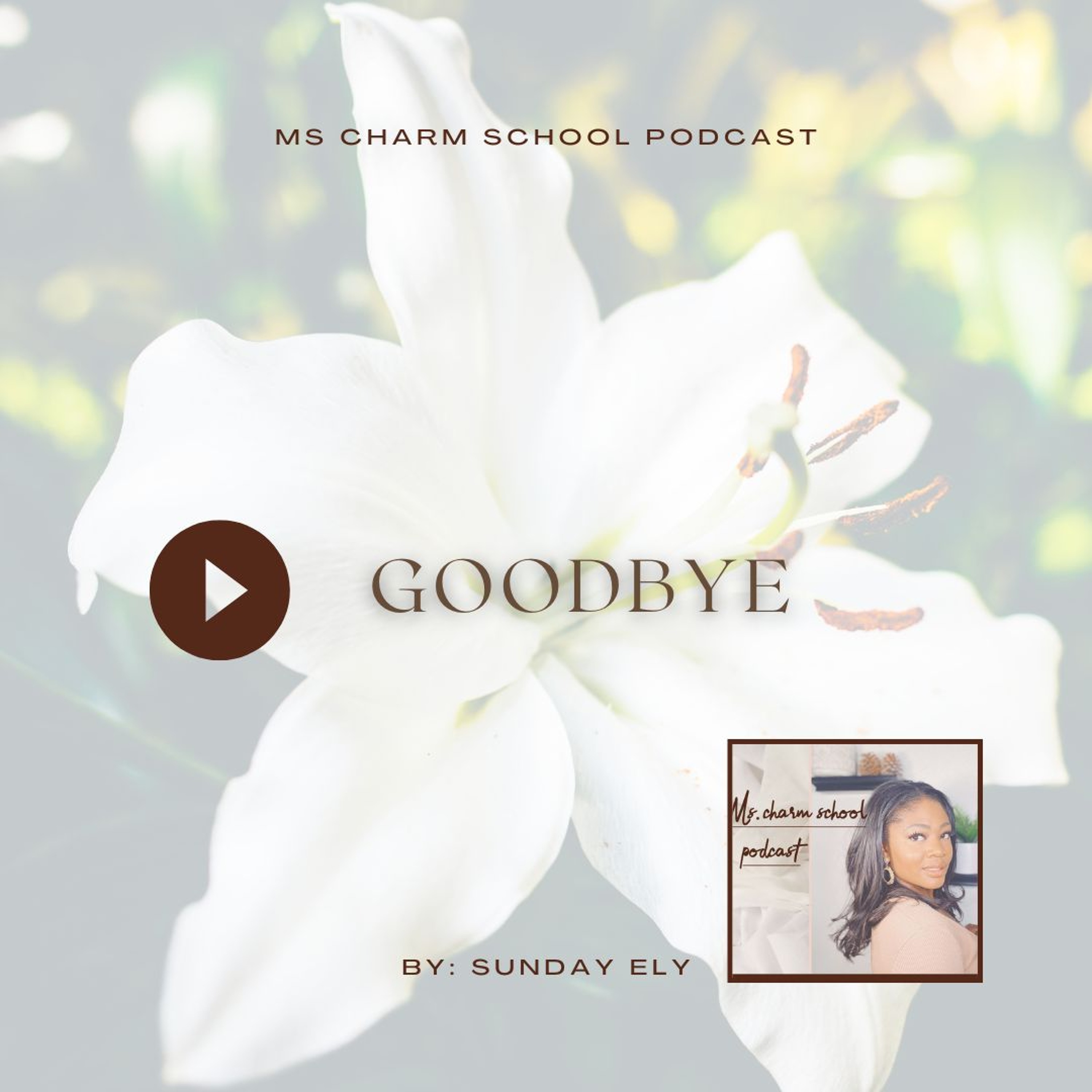 Goodbye episode artwork