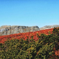 HK_Free_Dance_Sets_126