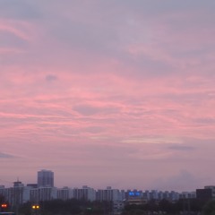 피노키오 - 사랑과 우정 사이(커버 아님)