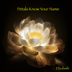 Petals Know Your Name (Elizabeth)