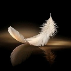 ○|.•°♡°•.~☆~|  Aura |~☆~.•°♡°•.|○||》