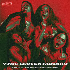 VTNC ESQUENTADINHO (CARTHO REMIX)