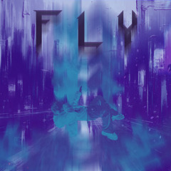 Fly