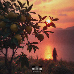 Lemon Tree