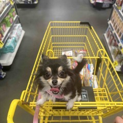 Romeo & Juliet (Prod By. Tosh!)