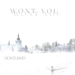 Wont You (Prod.Miz)