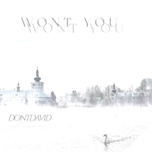 Wont You (Prod.Miz)