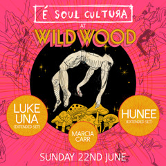 Luke Una mix for Wild Wood 2025