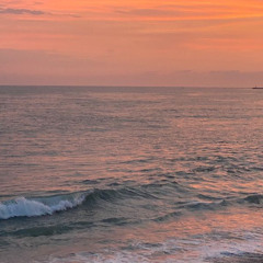 We Have A Hope - Mt. Carmel YM 2024