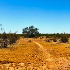 Wild Horses (Gino Vannelli cover)