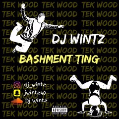 TEK WOOD PT.1 | Bashment & Dancehall @DJ Wintz