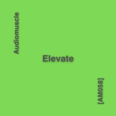 Elevate (Original Mix) [AM058]