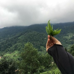 Bu dağda maral gezer..