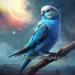 SilverFuchs - Lost Companion